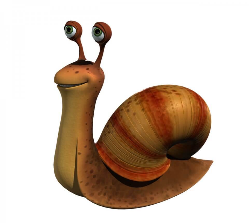 snail_02